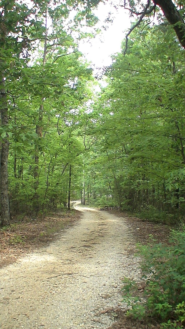 Organic farm Timber Home North Carolina Woods Equestrian Ranch Hobby Farm