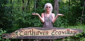 Permaculture Design homes Colette Dowell works with Earth  Haven Permaculture Community in Asheville North Carolina since Paul Caron and Val initially constructed in 1994