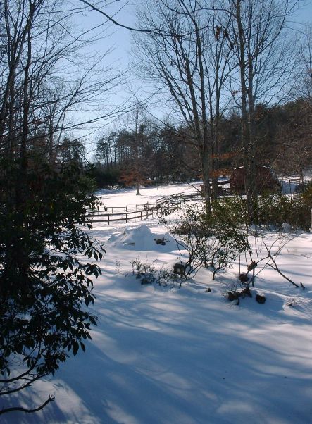 snow mountains laurel trees rododendrons riding rink winter scene North Carolina